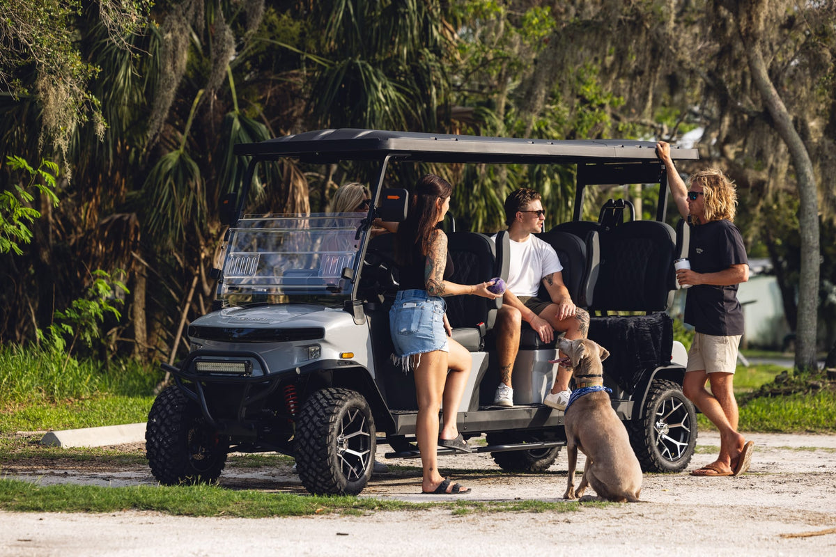 Friends and their dog beside a silver Denago Rover XXL on a leafy neighbourhood outing