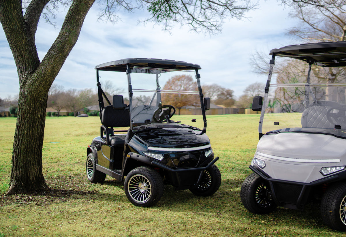 Black and light-coloured Denago Scout 2 golf carts parked beneath a tree